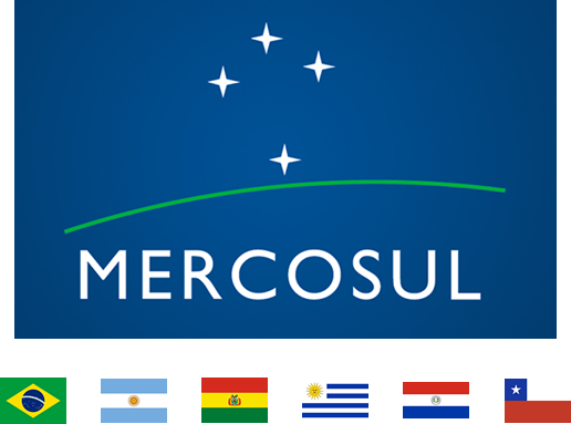 Soluções perfeitas e otimizadas em transporte para sua empresa no Mercosul
